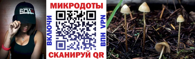 Галлюциногенные грибы GOLDEN TEACHER  дарнет шоп  MEGA ONION  Богородицк 